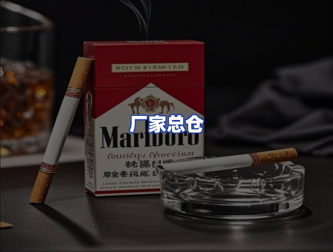 专业团队